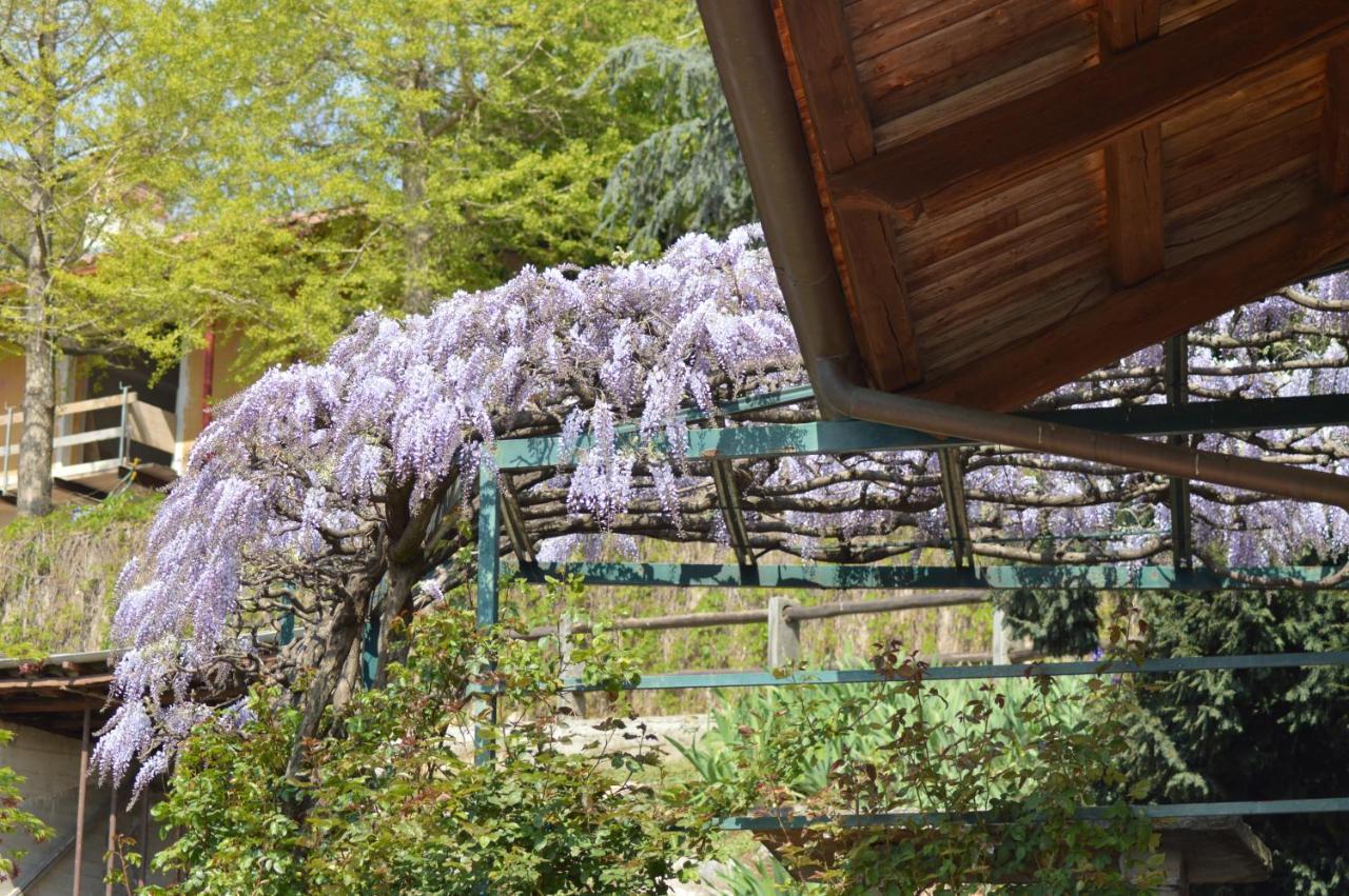 L'Uovo E La Faina Bed & Breakfast Busca Exterior photo